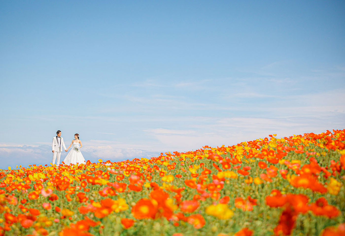 淡路島花畑撮影イメージ